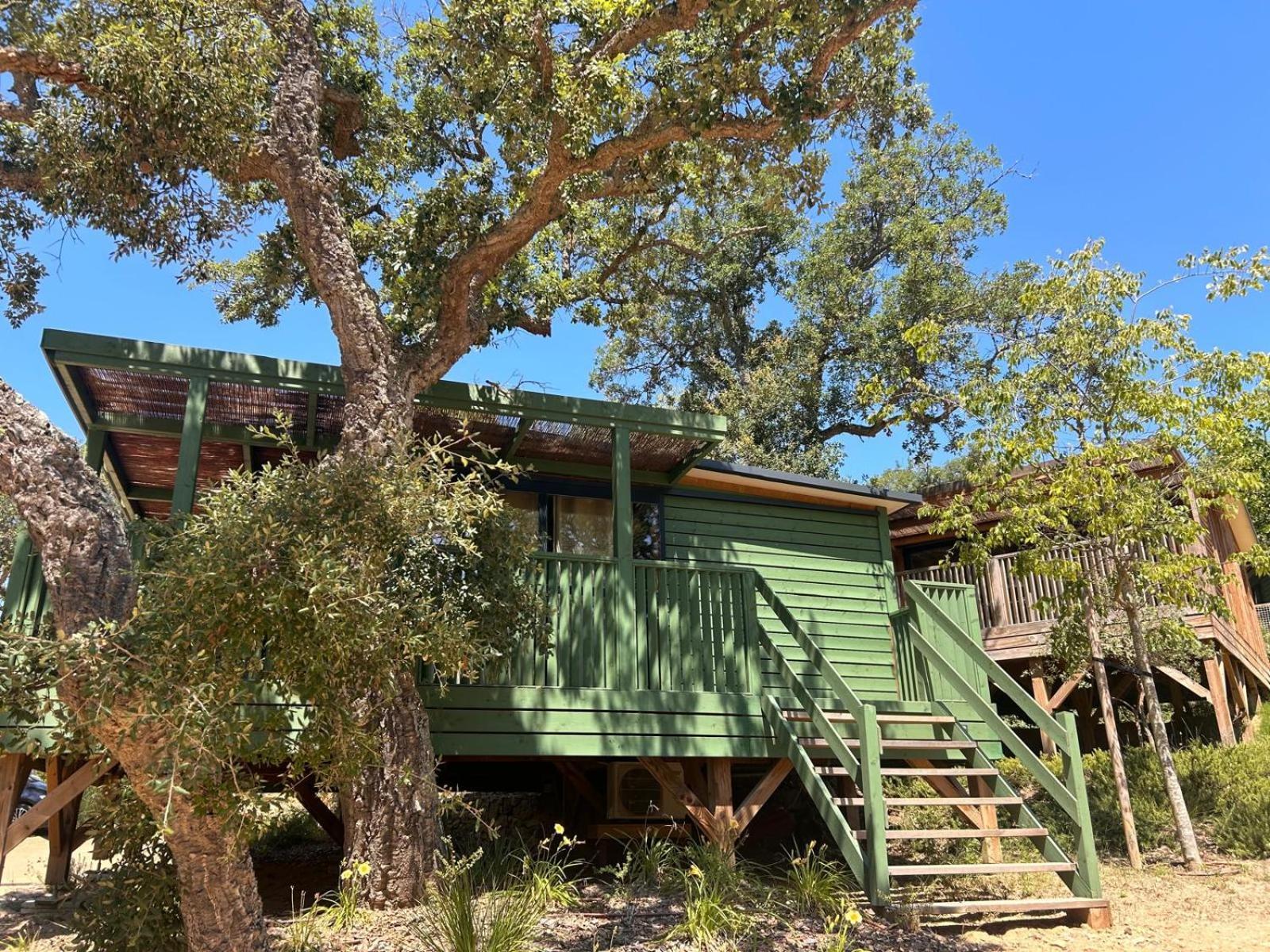 Camping Cala Pola Τόσα ντε Μαρ Εξωτερικό φωτογραφία
